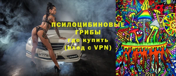apvp Абаза