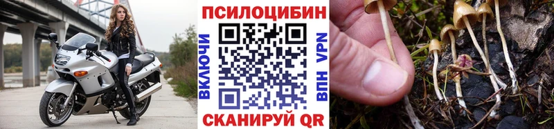 где купить наркоту  Власиха  Галлюциногенные грибы Psilocybe 