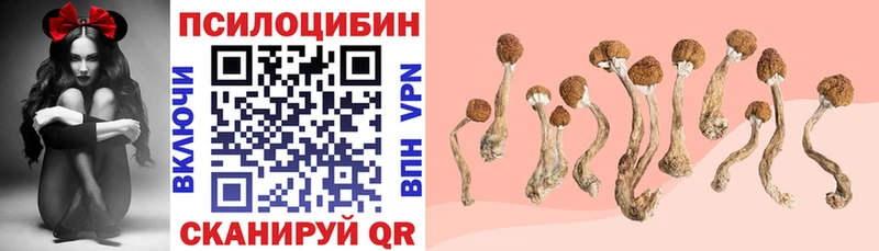 Галлюциногенные грибы прущие грибы Власиха